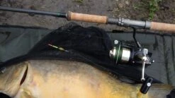 Century Armalite Collector -Vis Producten Winkel century armalite collector 1