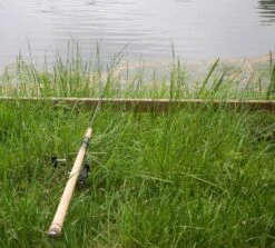 Century Armalite Collector -Vis Producten Winkel century armalite collector 6