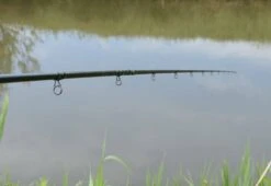 Century Armalite Collector -Vis Producten Winkel century armalite collector 7