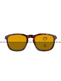 Strokes -Vis Producten Winkel fortis eye wear strokes 3