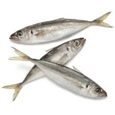 Dood Aas Horsmakreel