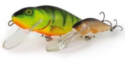 Salmo Perch Floating 8cm -Vis Producten Winkel salmo perch floating 8cm 2