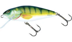 Salmo Perch Floating 8cm -Vis Producten Winkel salmo perch floating 8cm 3