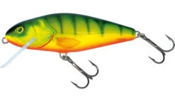 Salmo Perch Floating 8cm -Vis Producten Winkel salmo perch floating 8cm 4