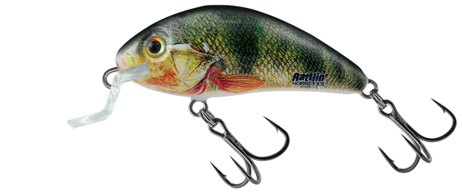 Salmo Rattlin Hornet Shallow Floating 3,5cm 5 Salmo Rattlin Hornet Shallow Floating 3,5cm - Afbeelding 5