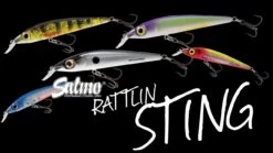 Salmo Rattlin' Sting Suspending 9cm -Vis Producten Winkel salmo rattlin sting suspending 9cm 2