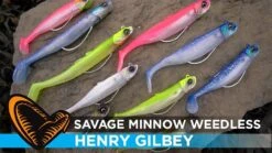 Savage Gear Minnow Sinking Tail 2+1 6 Savage Gear Minnow Sinking Tail 2+1 -Vis Producten Winkel savage gear minnow sinking tail 21 2