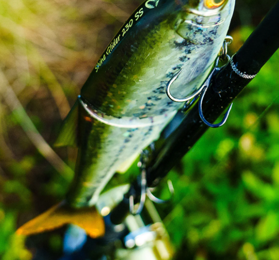 Vis Producten Winkel -Vis Producten Winkel cc704005836d83285a98a843e77d6673